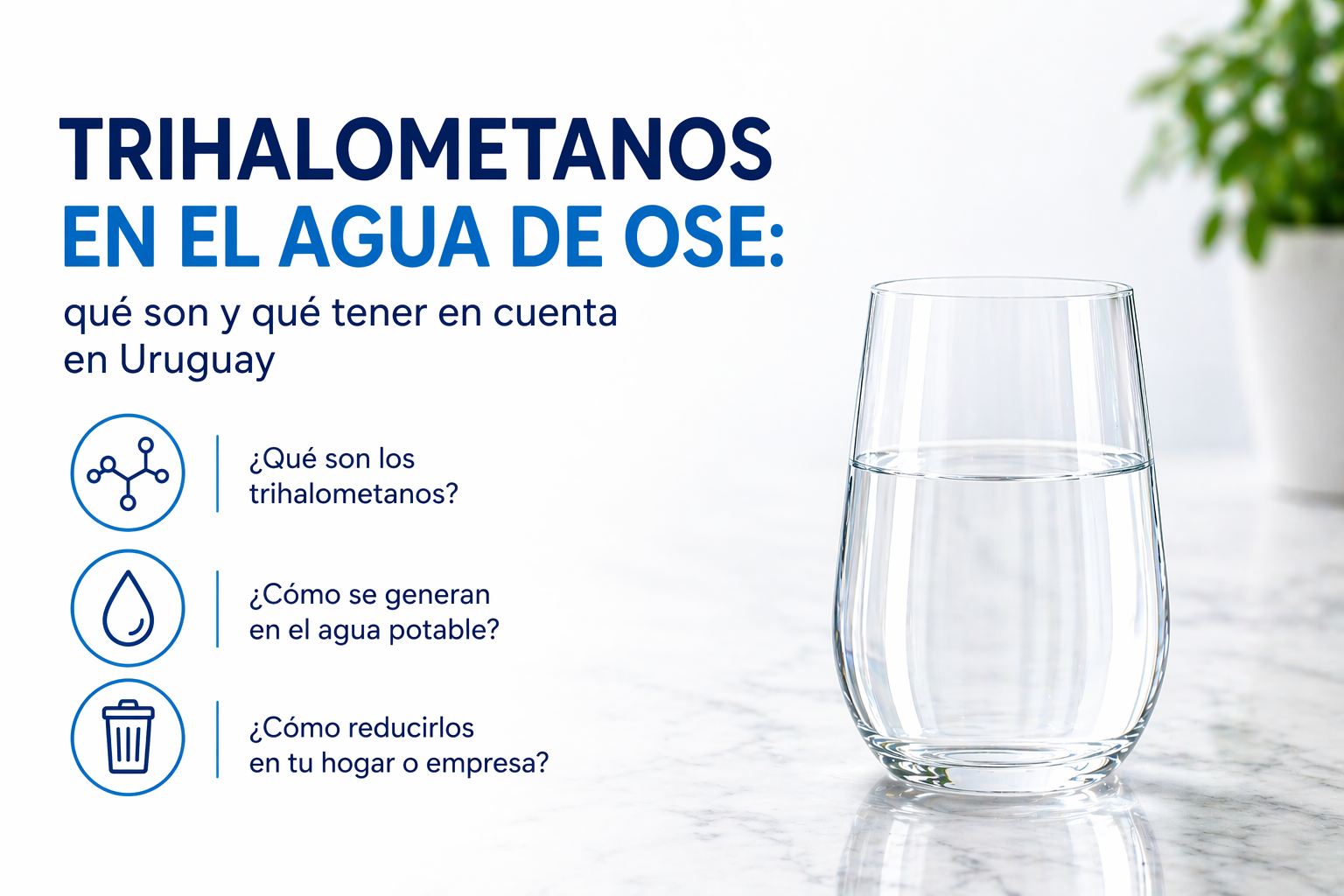Trihalometanos en el agua de OSE: qué son y qué tener en cuenta en Uruguay